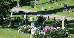 Catholic Burial Society